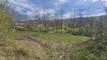brebu-intravilan-1800-mp-deschidere-29-ml-doar-16900-6