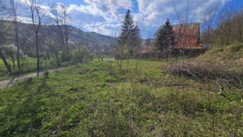 brebu-intravilan-1800-mp-deschidere-29-ml-doar-16900-8