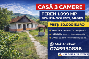 casa-3-camere-teren-1099-mp-in-schitu-golesti-arges-1