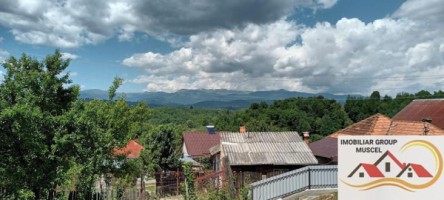 teren-4000-mp-bughea-de-jos-pret-23000-euro-3