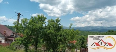teren-4000-mp-bughea-de-jos-pret-23000-euro-4