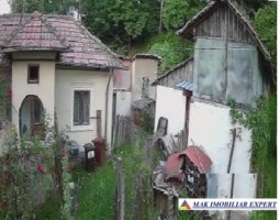 casa-3-camere-teren-3270-mp-valea-barbusii-campulung-muscel-9