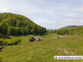 teren-1000-mp-faneata-ciocanu-dambovicioara-arges-8
