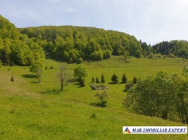 teren-1000-mp-faneata-ciocanu-dambovicioara-arges-7