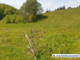 teren-1000-mp-faneata-ciocanu-dambovicioara-arges-11