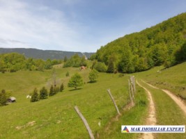teren-1000-mp-faneata-ciocanu-dambovicioara-arges-9