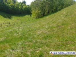 teren-1000-mp-faneata-ciocanu-dambovicioara-arges-12