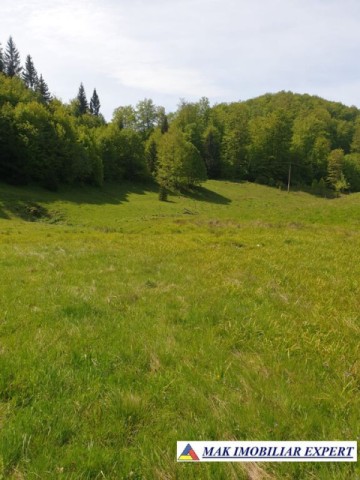 teren-1000-mp-faneata-ciocanu-dambovicioara-arges-13