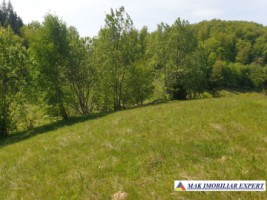 teren-1000-mp-faneata-ciocanu-dambovicioara-arges-18