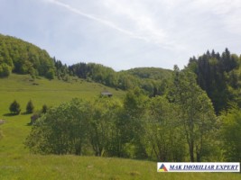 teren-1000-mp-faneata-ciocanu-dambovicioara-arges-16