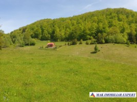 teren-1000-mp-faneata-ciocanu-dambovicioara-arges-15