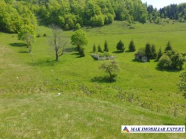 teren-1000-mp-faneata-ciocanu-dambovicioara-arges-14