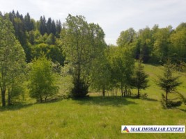 teren-1000-mp-faneata-ciocanu-dambovicioara-arges-21