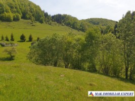 teren-1000-mp-faneata-ciocanu-dambovicioara-arges-23