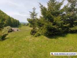 teren-1000-mp-faneata-ciocanu-dambovicioara-arges-20