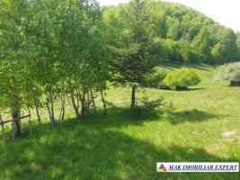teren-1000-mp-faneata-ciocanu-dambovicioara-arges-28