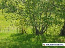 teren-1000-mp-faneata-ciocanu-dambovicioara-arges-27