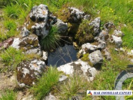 teren-1000-mp-faneata-ciocanu-dambovicioara-arges-31