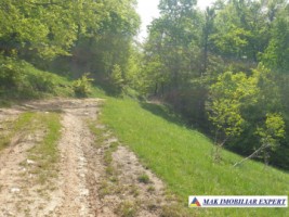 teren-1000-mp-faneata-ciocanu-dambovicioara-arges-34
