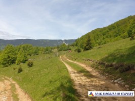 teren-1000-mp-faneata-ciocanu-dambovicioara-arges-35