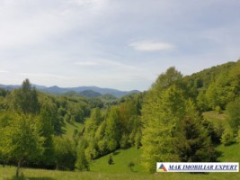 teren-1000-mp-faneata-ciocanu-dambovicioara-arges-36