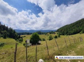 teren1648-mp-835-813-mp-intravilan-in-dambovicioara-ag