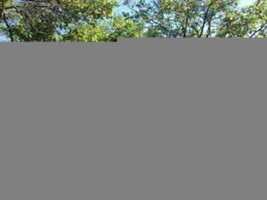 vand-teren-2300-mp-intravilan-in-nucsoara-arges-1