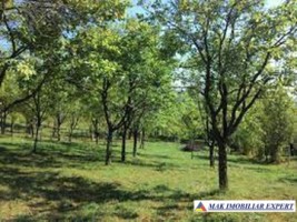vand-teren-2300-mp-intravilan-in-nucsoara-arges-2