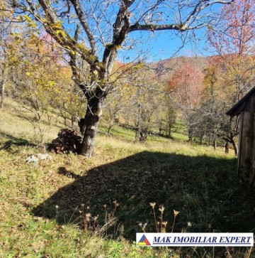 vand-teren-2300-mp-intravilan-in-nucsoara-arges-4