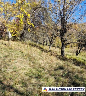 vand-teren-2300-mp-intravilan-in-nucsoara-arges-9