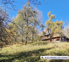 vand-teren-2300-mp-intravilan-in-nucsoara-arges-6