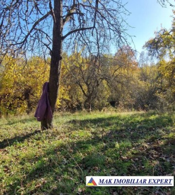 vand-teren-2300-mp-intravilan-in-nucsoara-arges-5