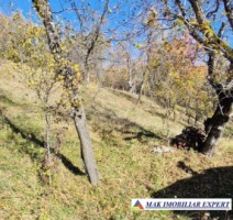 vand-teren-2300-mp-intravilan-in-nucsoara-arges-16