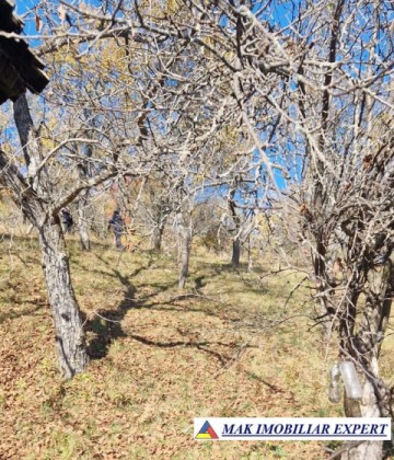 vand-teren-2300-mp-intravilan-in-nucsoara-arges-11