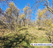 vand-teren-2300-mp-intravilan-in-nucsoara-arges-13