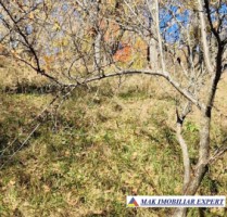 vand-teren-2300-mp-intravilan-in-nucsoara-arges-14