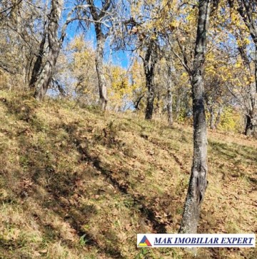 vand-teren-2300-mp-intravilan-in-nucsoara-arges-15