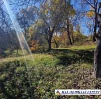 vand-teren-2300-mp-intravilan-in-nucsoara-arges-17