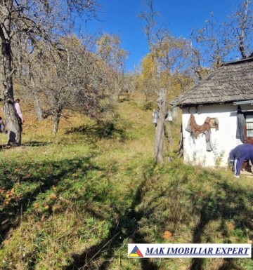 vand-teren-2300-mp-intravilan-in-nucsoara-arges-22