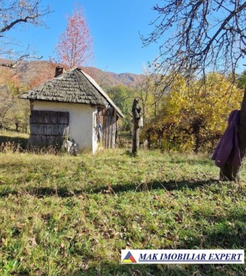 vand-teren-2300-mp-intravilan-in-nucsoara-arges-21