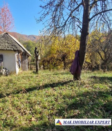 vand-teren-2300-mp-intravilan-in-nucsoara-arges-23