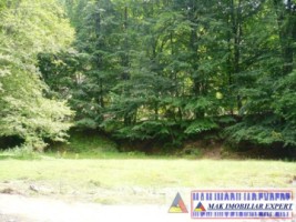 de-vanzare-teren-5000-mp-in-albestii-de-muscel-arges-1