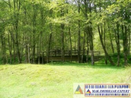 de-vanzare-teren-5000-mp-in-albestii-de-muscel-arges-3