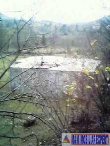 teren-intravilan-3550-mp-de-vanzare-rucar-satic-arges-2