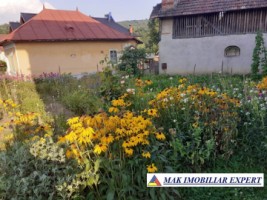 vila-5-camere-teren-502-mp-de-vanzare-in-bughea-de-jos-arges-21