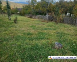 vand-teren-832-mp-intravilan-marcus-campulung-mudcel-arges-5