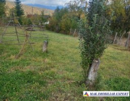 vand-teren-832-mp-intravilan-marcus-campulung-mudcel-arges-7