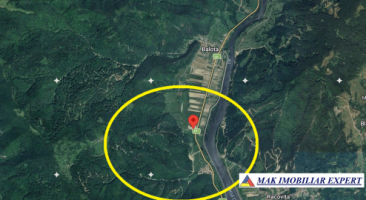 padure-260-ha-pe-valea-oltului-in-balota-racovita-valcea-13