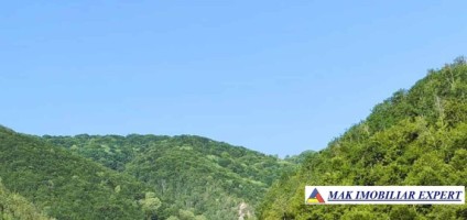 padure-260-ha-pe-valea-oltului-in-balota-racovita-valcea-12