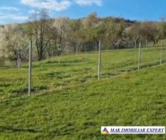 de-vanzare-teren-1726-mp-intravilan-in-negreni-cluj-5